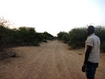 Thumbnail image for Music in West Africa: Mali Part III