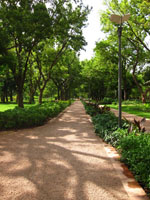 Thumbnail image for Do you Expect to See this in a West African City?
